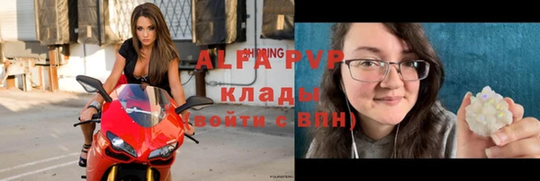крисы Белоозёрский