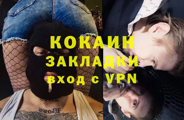 сатива Белокуриха