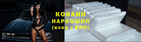 СК Богородск