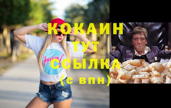 крисы Белоозёрский