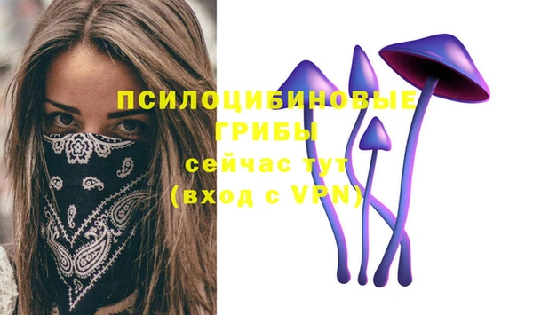 крисы Белоозёрский