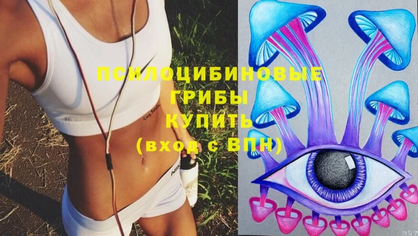 крисы Белоозёрский