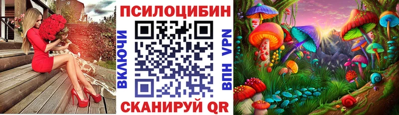 мега   Окуловка  Псилоцибиновые грибы MAGIC MUSHROOMS 